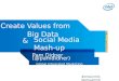 Create Values from Big Data & Social Media Mash-Up