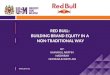 Red bull final case study