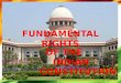 Fundamental rights presentation