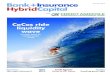 Bank+Insurance Hybrid Capital issue 1