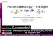 Nanotechnology Foresight in the UK