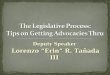 The Legislative Process: Tips on Getting Advocacies Thru