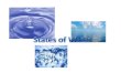 Science primary 4  states of water