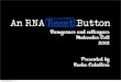 An RNA reset button