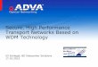Secure, High Performance Transport Networks Based on WDM Technology