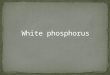 White phosporus final version