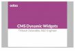Odoo - CMS dynamic widgets