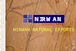 Nirwan Natural Exports Stones Catalogue
