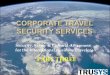 Corporate Travel Security Services   Part Three