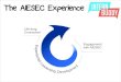 Intern Buddy: AIESEC Experience