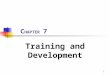 Chapter 7   Training And Development