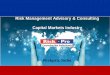 Riskpro capital markets industry 2013