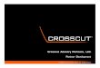 Crosscut Advisory Partners 2012 Primer