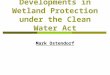 Developments in Wetland Protection under the Clean Water Act