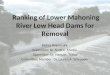 Ranking mahoning river low head dams for removal