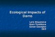 Ecological impacts of dams