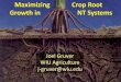 Maximizing crop root growth in no-till systems