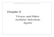 Viruses and Other Acellular Infectious Agents