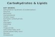 Ch.5  carbs, lipids