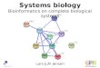 Systems biology: Bioinformatics on complete biological system