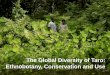Global diversity of taro: conservation and use