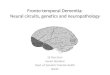 Frontotemporal dementia: Neural circuits, genetics and neuropathology