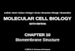 Molecular Cell Biology Lodish 6th.ppt - Chapter 10   biomembrane structure