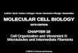 Molecular Cell Biology Lodish 6th.ppt - Chapter 18   cell organization and movement ii microtubules and intermediate filaments