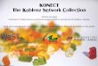 KONECT – The Koblenz Network Collection
