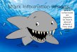 Sharks information report