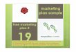 Free marketing plan sample of a food manufacturer and distributor (branding issues), by