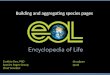 Building EOL species pages