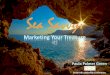 Sea Savvy: Marketing Your Treasure