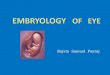 Embryology of eye