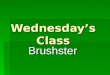 Wednesday’S Brushster