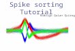 Spike sorting-tutorial