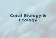 Mele Coral Biology