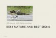 Best Nature And Best Signs