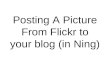 Post a pic to ning blog from flickr