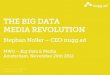 MWG Big Data & Media - Stephan Noller (nugg.ad)