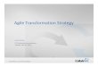 Agile transformation longform