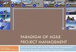 Paradigm of agile project management