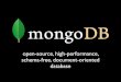 MongoDB at RubyConf