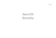 JavaEE Security