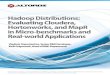 Hadoop Distributions: Evaluating Cloudera, Hortonworks, and MapR in Micro-benchmarks and Real-world Applications
