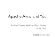Apache Avro and You