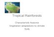 Tropical Rainforests Intro