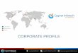 Cygnet corporate presentation