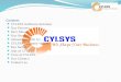 Cylsys Software Solution Profile