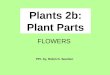 Plants2 plant parts flowers: pollination, angiosperms, gymnosperms, sexual reproduction; includes labs, visuals, & video clips